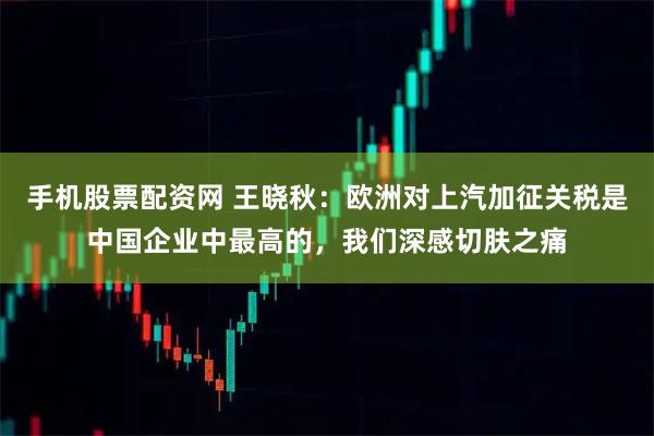 手机股票配资网 王晓秋：欧洲对上汽加征关税是中国企业中最高的，我们深感切肤之痛